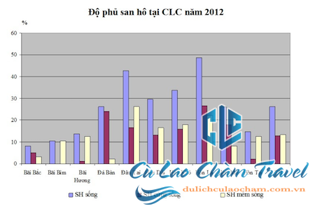 Phân tích chủng loại San Hô Cù Lao Chàm