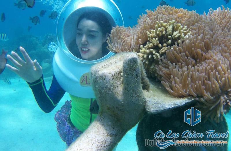 tour-lan-mu-di-dao-duoi-day-bien