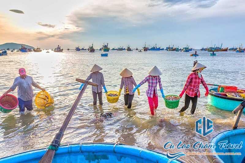 Bãi biển Cù Lao Chàm