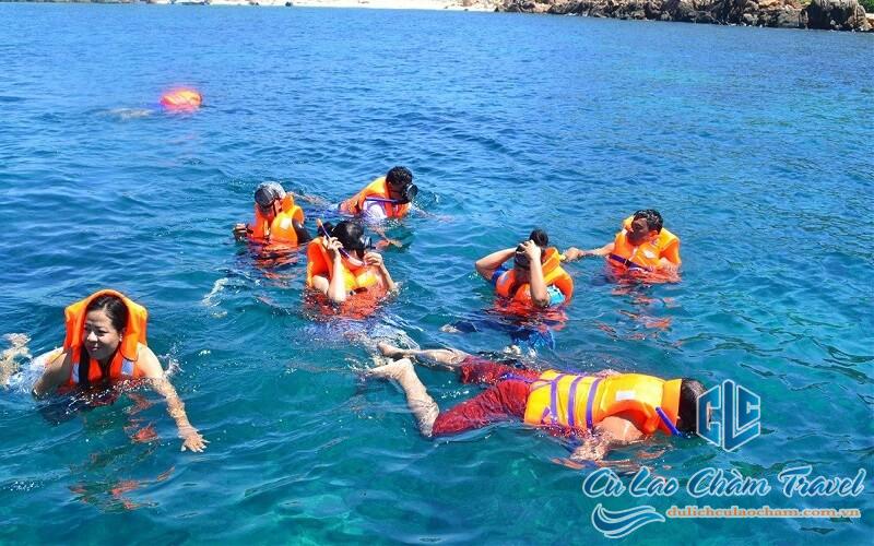 Giá vé lặn ngắm san hô Cù Lao Chàm 